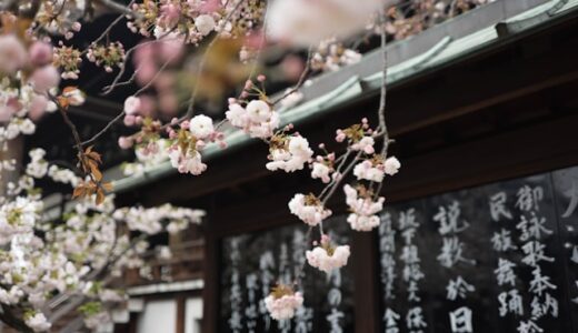 おすすめの国内旅行先まとめ【波動で解説】