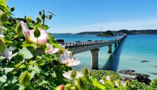 沖縄がおすすめの理由6選【中庸に戻れる】